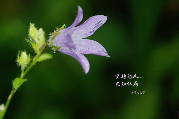 《生命的价值：探索《拿命换命》中的深刻人生哲理