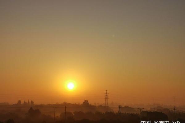 1994年4月30日出生的人生命运解析与启示