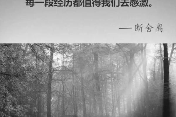 1994年4月30日出生的人生命运解析与启示