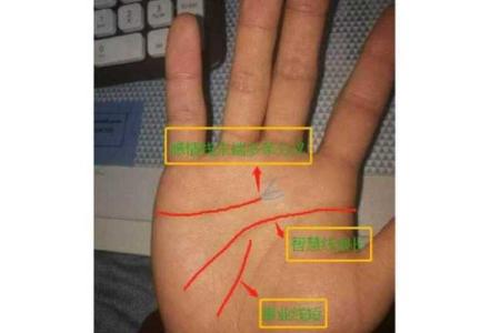 三命通会的神秘解析：生命、命运与运势的完美结合