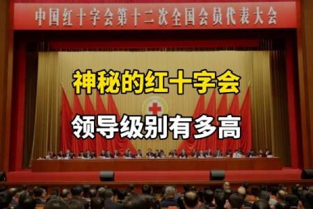 大官命格：揭示成功与领导的神秘之道