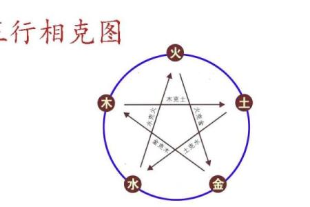 水命虎命中的五行缺失与补充对策探讨