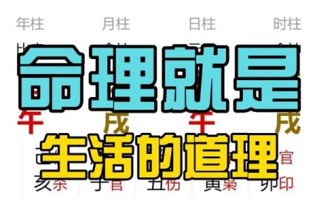 壬寅丙午年：命理解析与人生智慧的交汇点