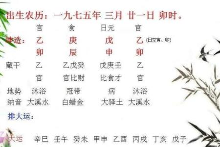 81年虎年生人命理解析：水命与木命的深度对比