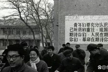 1977年6月出生的人命运探秘：你的命格与人生之路