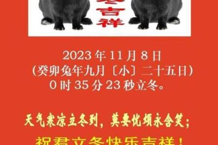 2023年农历兔年：兔年人的命运与运势解读指南