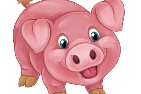 2020猪年宝宝命运解析：揭示生肖猪的性格与运势！