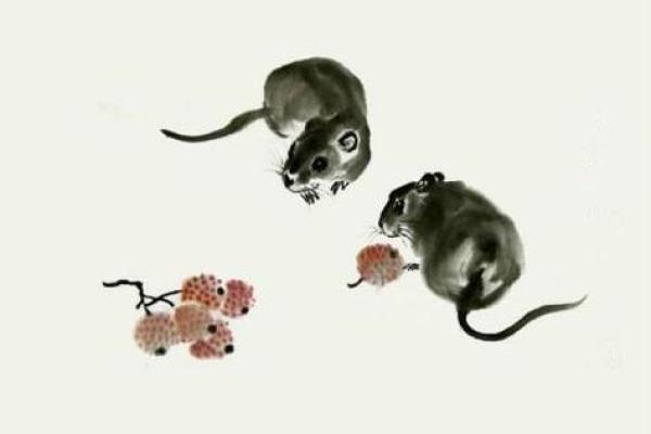 96年子鼠命理分析：聪慧灵动与命运走势