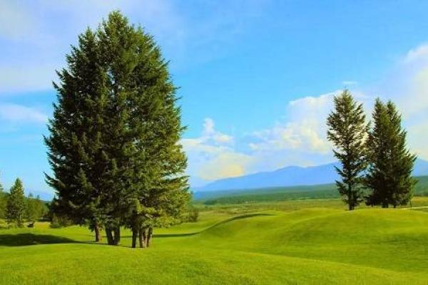 1990年出生的木命人：命理解析与生活启示