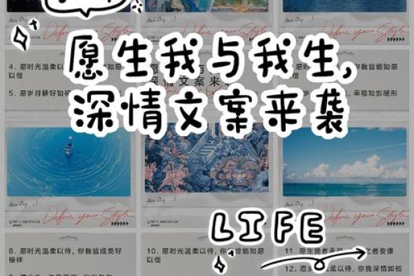 1979年12月出生的命运：与星辰共舞的人生旅程