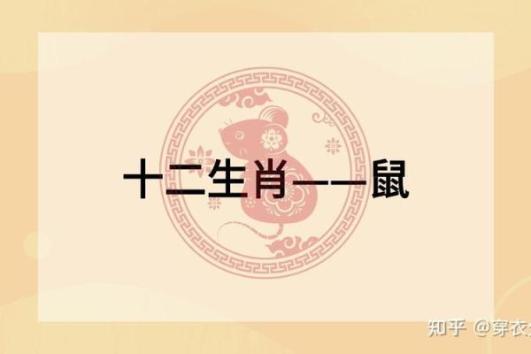 属鼠海中金命与哪种命最为匹配的深度解析