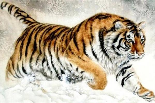 什么动物天生富贵命？揭秘这些富贵动物的奥秘！