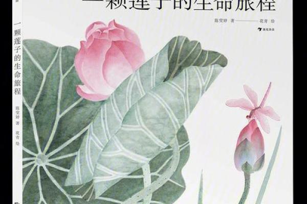 1940年出生的人命运解析：因缘与机遇交织的生命旅程