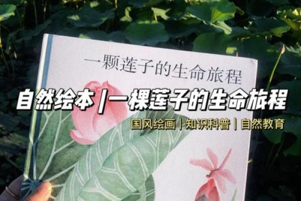 1940年出生的人命运解析：因缘与机遇交织的生命旅程