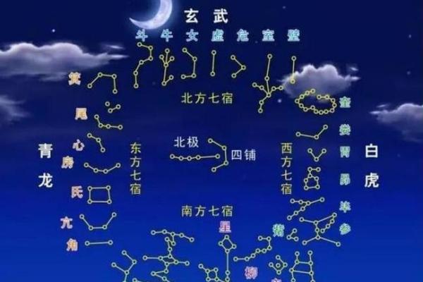 青龙象征与命格解析：探索命理中的力量与智慧