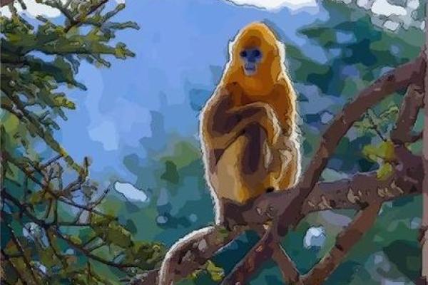 968年属猴人的命运与性格特征分析