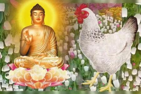 1997年属鸡的命运解析与人生指导