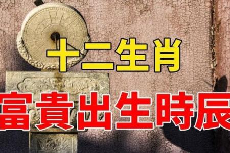 十年一个轮回：属相与命运的深刻联系