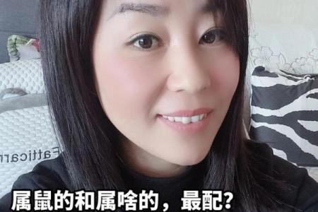 属鼠人的性格与命运：探索鼠年生人的特质与生命之旅