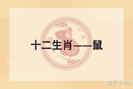 属鼠海中金命与哪种命最为匹配的深度解析