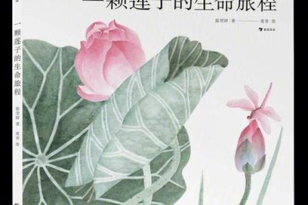 1940年出生的人命运解析：因缘与机遇交织的生命旅程