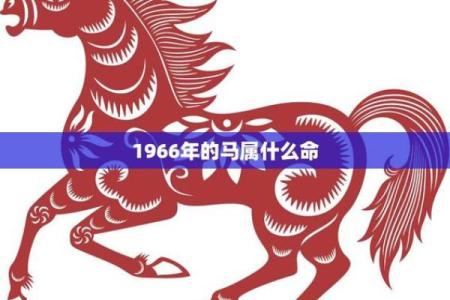 1967年出生的命运解析：如何跟随命理之道绽放人生光彩