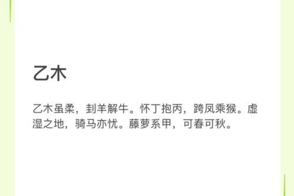 探秘命理中的乙木：强韧与柔和的完美结合