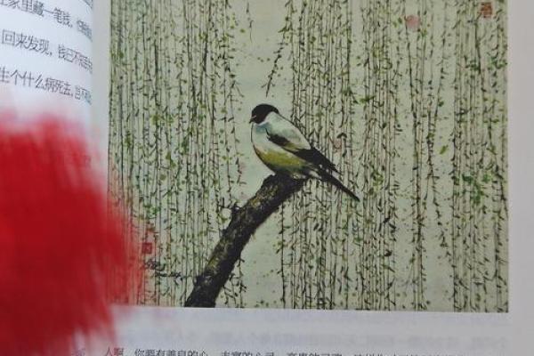 98虎年命运解析：勇敢与智慧的结合，开启人生新篇章