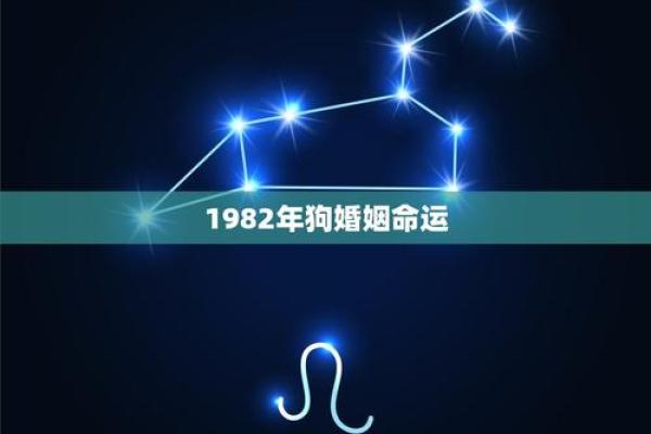 狗年出生的命运解析：你是一个怎样的命？