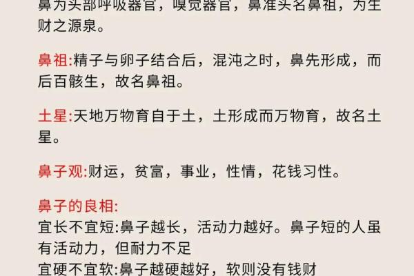 面相解读：命短孩子的面相特征与解读指南