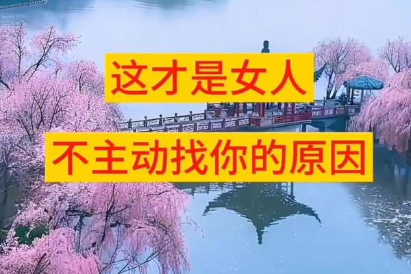 命里带什么，遇不到真爱的缘由探析