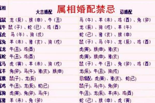 属相龙的命理解析：如何把握机遇与挑战