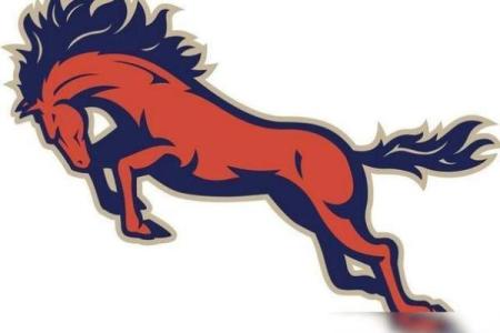 78年马是什么命，木命和其他命运的解读