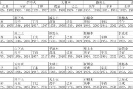 1993癸酉年命理解析：探索人生的五行之路