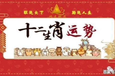 2017年，火鸡年：揭秘命理背后的故事与运势