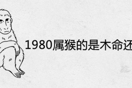 揭秘石榴木金命的人适合从事哪些行业？