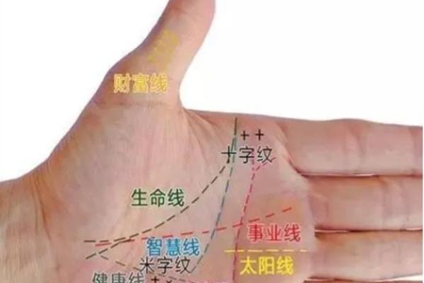 父母都靠不住,什么命运才能掌握在自己手中? 父母都靠不住,什么命运才能掌握在自己手中?