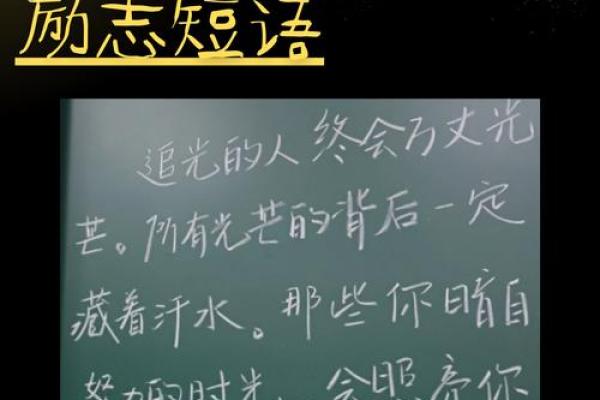 数学天赋决定命运：如何发挥你的潜力与优势