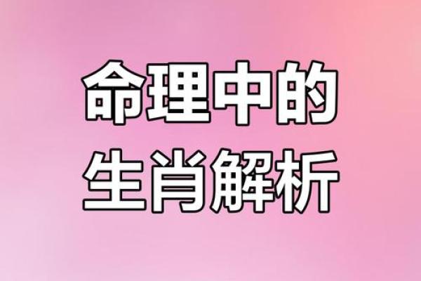 2022年命运概述：揭示你的生肖与运势关系