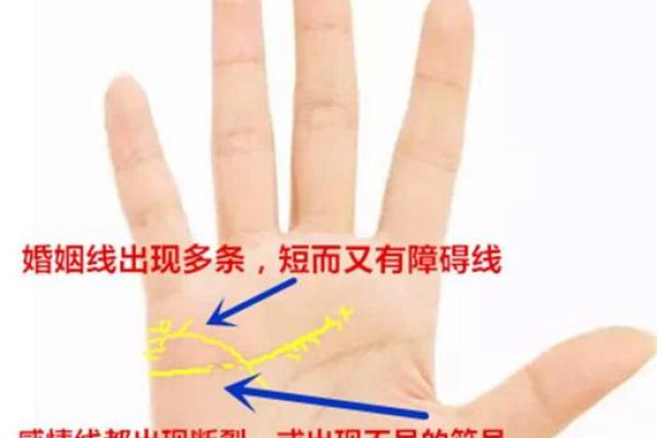 屁股小的人命运解析：性格、事业与情感的独特关联