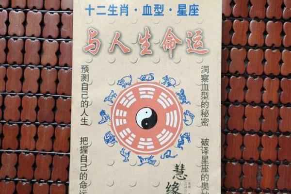 1988年出生的人命运解析：属什么命，如何把握人生机遇？