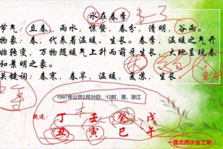 探秘1982年：水命的人生历程与命理启示