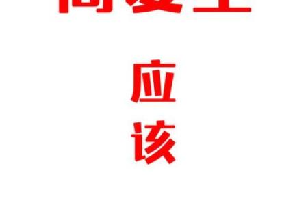 在1984年命火的指引下，重拾勇气与梦想的旅程