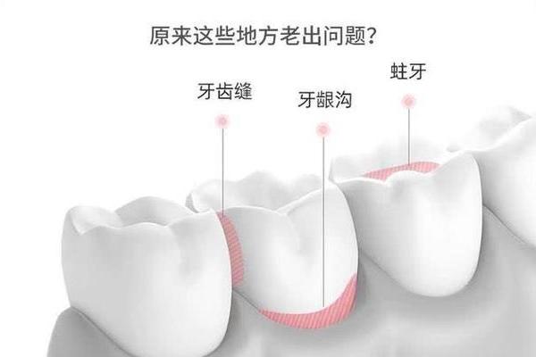 探索命理学中的智齿：揭示人生的独特意义与启示