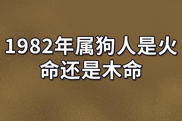 1992年属狗命的运势解析：如何把握人生中的机遇与挑战