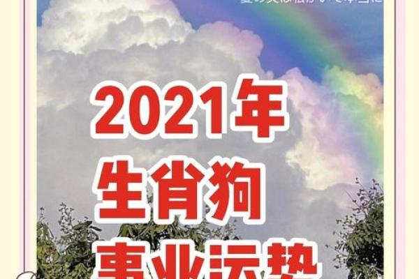 1992年属狗命的运势解析：如何把握人生中的机遇与挑战