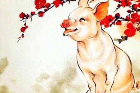 1955年属猪的人生命运与性格解析：猪年的真谛与成功之道