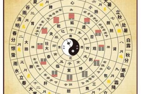 揭示命理数字算法的奥秘：如何通过数字理解人生轨迹