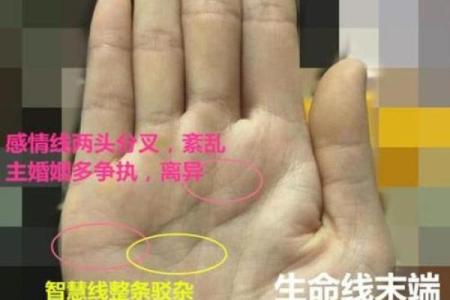 凤凰命格的神秘魅力与宿命解析