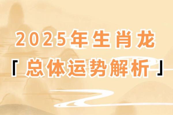 2022年属龙的命运解析与生活智慧分享